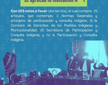 Constituyente Alejandra Flores rechaza «debate injurioso propiciado por la derecha”, en discusión del Reglamento de Participación y Consulta Indígena