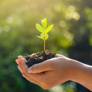 AEPA presenta encuentro virtual “Acelerando la transición hacia una Economía Circular y Sustentable”