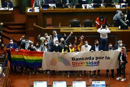 Matrimonio igualitario será proclamado como ley tras su aprobación en la Cámara