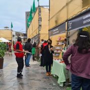 Ministerio de las Culturas abre convocatoria a nueva versión de la Plaza de las Artes. Ejecutará Nomadesert