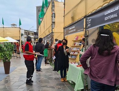 Ministerio de las Culturas abre convocatoria a nueva versión de la Plaza de las Artes. Ejecutará Nomadesert