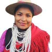 Convencionales de escaños reservados de Pueblos Originarios , llaman a comunidades a estar alerta ante  informaciones contradictorias de Consulta Indígena