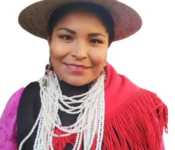 Convencionales de escaños reservados de Pueblos Originarios , llaman a comunidades a estar alerta ante  informaciones contradictorias de Consulta Indígena