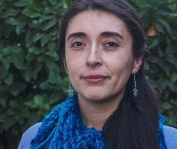 María Elisa Quinteros  de MSC es la nueva presidenta de la Convención, en reemplazo de Elisa Loncón