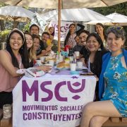 “Firma popular”: Plataforma virtual que estrena Movimientos Sociales Constituyentes  para difundir Iniciativas Populares de Norma