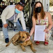 Convencional Patricia Labra presenta iniciativa de norma constitucional que protege a los animales y los reconoce como seres sintientes