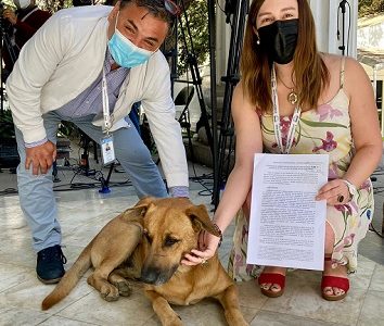 Convencional Patricia Labra presenta iniciativa de norma constitucional que protege a los animales y los reconoce como seres sintientes