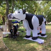 Tour enero 2022: Vaquita gigante parte oficialmente su gira por Chile reuniendo firmas por una Constitución Animalista