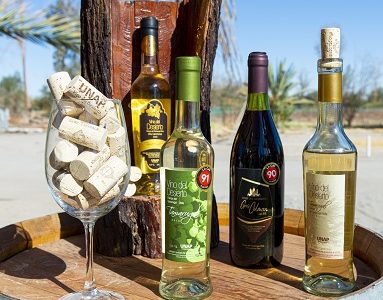 Vino del Desierto: Una alternativa enoturistica en el norte reabre sus puertas desde el 14 de enero