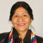 Alejandra Flores y aprobación de norma transitoria de derechos sociales: «fue lo que movilizó a  nuestro país y posibilitó este histórico proceso”.