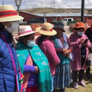 Consulta indígena de la Convención Constitucional busca asegurar los derechos de los Pueblos originarios