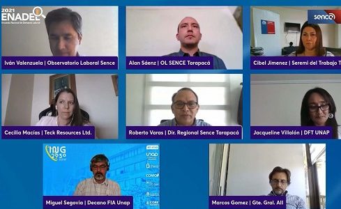 Observatorio Laboral de SENCE, FIA y DFT UNAP en webinar sobre demanda campo laboral de sus egresados en Tarapacá