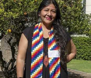 Convencional Alejandra Flores sobre aprobación de Estado Plurinacional y libre determinación: “Es un paso gigante para los pueblos indígenas”