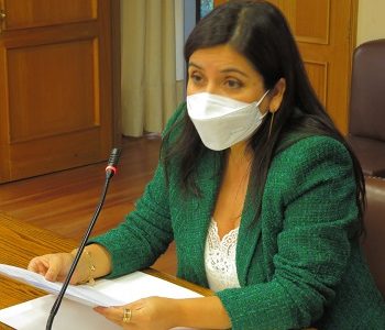 Diputada Astudillo da voz de alerta por ingreso precario de niños y niñas por frontera de Colchane
