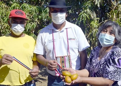 Registro Público de Tierras y Aguas Indígenas de CONADI fue habilitado de manera online para facilitar trámites de usuarios del Tamarugal