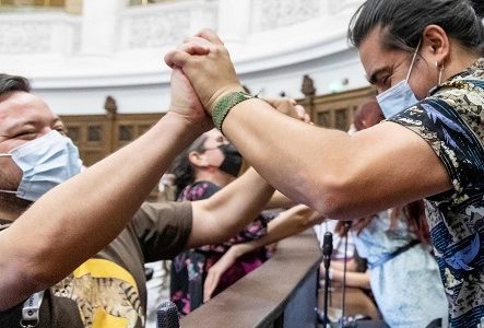 Sigue el trabajo en la Convención: Reconocimiento de la lengua de señas en el borrador de Constitución