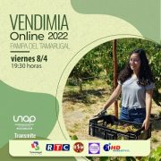 Vino del Desierto realizará la XVI fiesta de la vendimia de manera on line y transmitida por medios regionales
