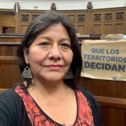 Constituyente Alejandra Flores: Nueva Constitución es inclusiva, incorpora derechos de personas antes no explicitadas