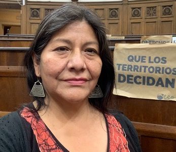 Constituyente Alejandra Flores: Nueva Constitución es inclusiva, incorpora derechos de personas antes no explicitadas