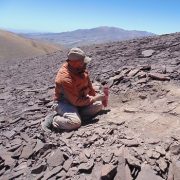 Descubren cementerio de pterosaurios que vivieron hace unos 140 millones de años en el Desierto de Atacama