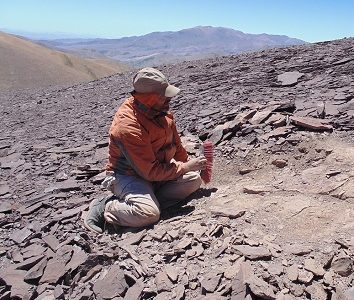 Descubren cementerio de pterosaurios que vivieron hace unos 140 millones de años en el Desierto de Atacama