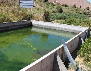 Comisión Nacional de Riego abre concurso de obras civiles y tecnificación para agricultores de Tarapacá