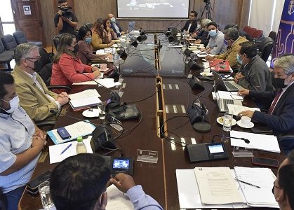CORE aprobó otorgar uso gratuito de terrenos de Bienes Nacionales, para habilitar dos jardines infantiles JUNJI, en caleta Los Verdes y en Cariquima