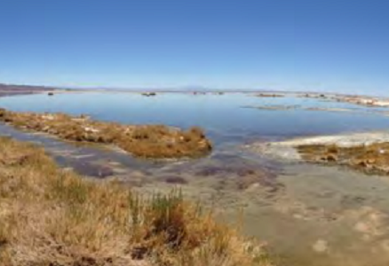 Consejo de Defensa del Estado demanda a tres mineras por daño ambiental en Salar de Atacama