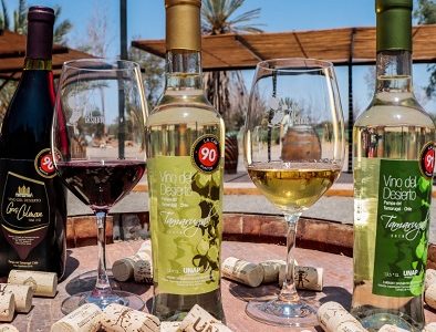 Cinco razones para ir a la Ruta del Vino en Tarapacá: El Enoturismo permite dinamizar el sector productivo local como gastronomía, hotelería y oferta turística.
