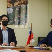 Entra en vigor Acuerdo de Integración Comercial entre Chile y Ecuador. Ambos países emiten declaración conjunta