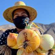Expo Mundo Rural Marca,  destaca como alternativa en el comercio electrónico de Tarapacá
