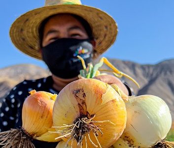 Expo Mundo Rural Marca,  destaca como alternativa en el comercio electrónico de Tarapacá
