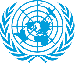 ONU Chile lamenta la muerte de Francisca Sandoval y reitera llamado a respetar la libertad de prensa