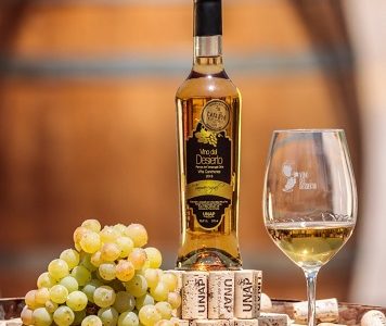 Vino del Desierto, iniciativa de la UNAP: Un aporte al territorio en la región de Tarapacá