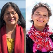 Constituyentes Alejandra Flores y Cristina Dorador llaman a informarse por fuentes fidedignas y no hacer caso a las “políticas del terror”