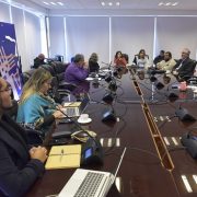 Comisión de Cultura pide a Pleno del CORE apoyar a bailes religiosos para realización de La Tirana 2022