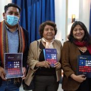 Agua, propiedad y pueblos originarios: Constituyentes Flores y Bacian respondieron principales consultas de dirigentes indígenas sobre Nueva Constitución