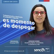 Despega Mipe 2022: Cursos sin costo para trabajadores, dueños, representantes legales y socios de pequeños negocios