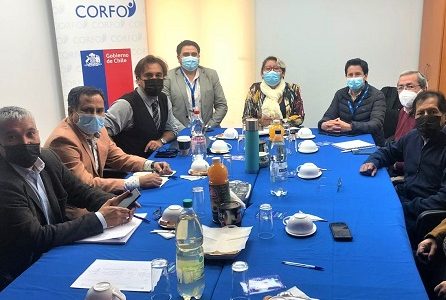 Programa  financiado por Corfo «Fortalece Pyme» realizó 203 chequeos y diagnósticos digitales a empresas de Tarapacá