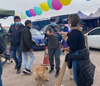 Camino al plebiscito de salida, vocería de gobierno ha entregado  17 mil copias de Nueva Constitución