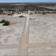 SMA inicia procedimiento contra proyecto de 90 loteos al interior de la Reserva Nacional Pampa del Tamarugal