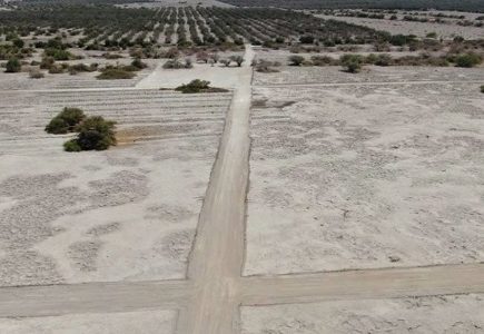 SMA inicia procedimiento contra proyecto de 90 loteos al interior de la Reserva Nacional Pampa del Tamarugal