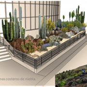 Innovador proyecto FIC rescata especies de plantas con riesgo de extinción. Podrían ser adaptadas en ciudades desérticas del norte