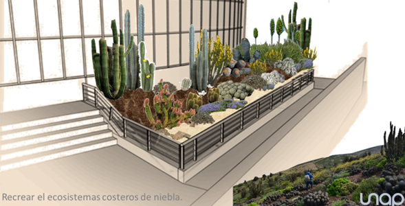 Innovador proyecto FIC rescata especies de plantas con riesgo de extinción. Podrían ser adaptadas en ciudades desérticas del norte