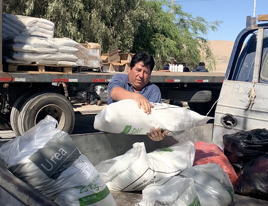  En Pozo Almonte partió el plan de entrega fertilizantes «Siembra por Chile», que favorece a pequeños productores del Tamarugal