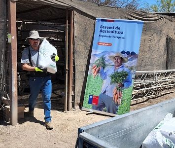 Plan “Siembra por Chile” de INDAP, c0ncluye entrega de fertilizantes en las cinco comunas del Tamarugal, apoyando a pequeños productores