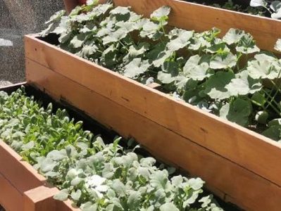 Abren postulaciones al programa «Arriba la Vida Sana», que busca promover hábitos y estilos de vida saludable