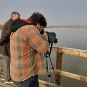 Biodiversidad versus especies exóticas invasoras: La batalla por la conservación de los ecosistemas 