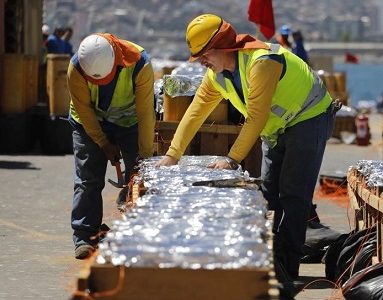 Tarapacá es la segunda región del país con mayor porcentaje de ocupados, de acuerdo con encuesta del INE