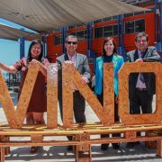 En plena pampa del Tamarugal, hace 20 años, la Universidad Arturo Prat inició el proyecto Vino del Desierto